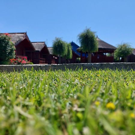 Pensiunea La Tavi Murighiol Bagian luar foto