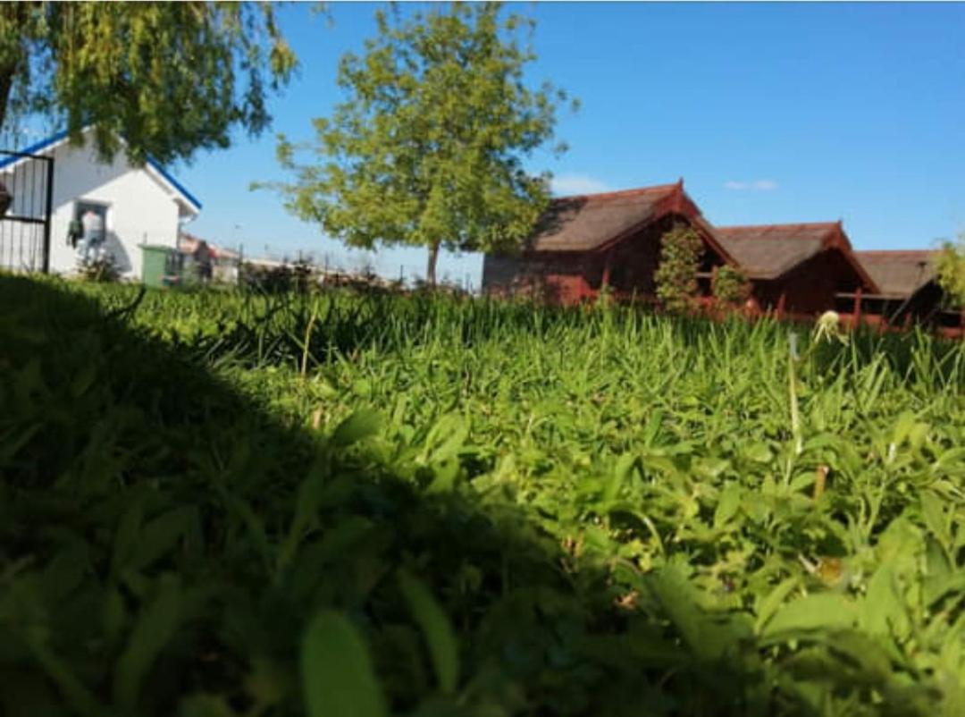 Pensiunea La Tavi Murighiol Bagian luar foto