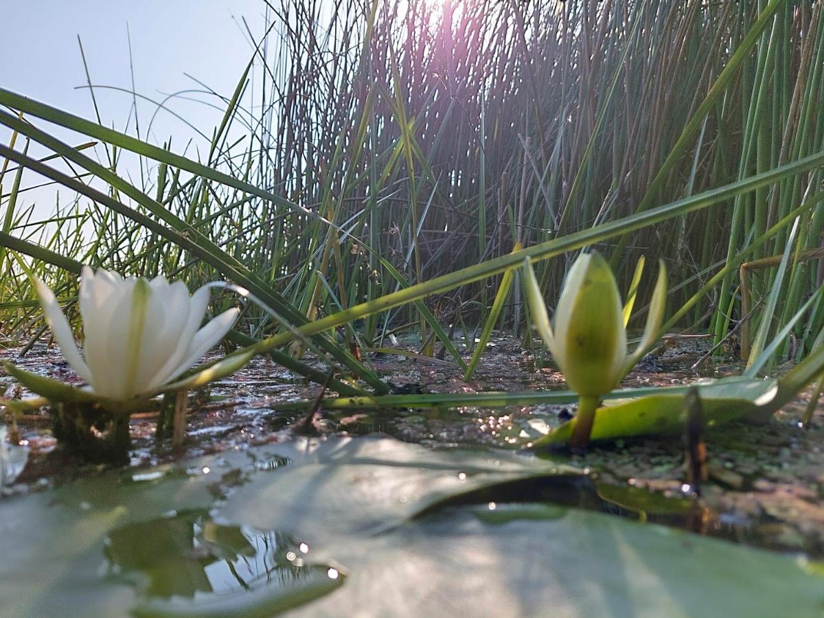 Pensiunea La Tavi Murighiol Bagian luar foto