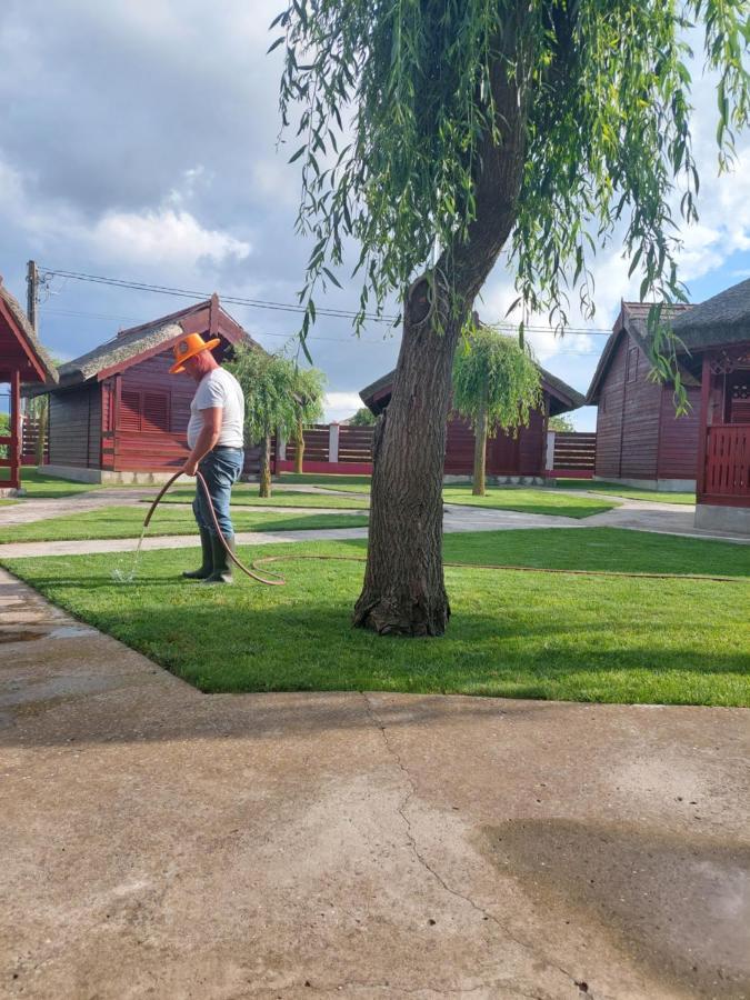 Pensiunea La Tavi Murighiol Bagian luar foto
